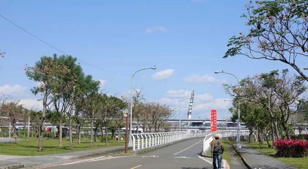 新店陽光公園：親子野餐、騎車賞花、交通停車一次懂