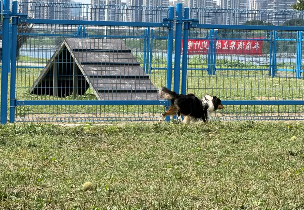 永和綠寶石公園：在地人帶你逛，設施、交通、周邊美食一次搞懂